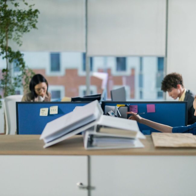 Contemporary office setting with diverse employees working diligently at their cubicles.